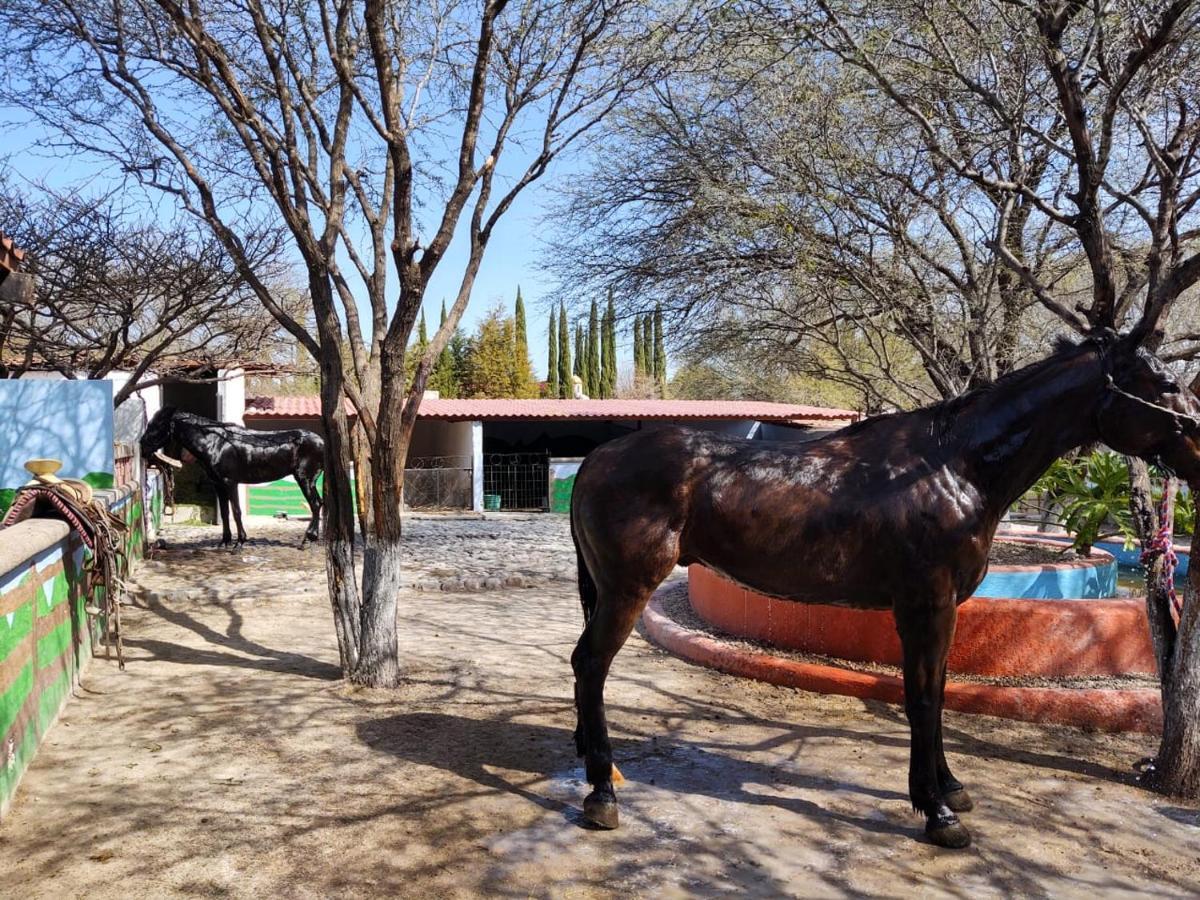 Atotonilco  Rancho Labradores المظهر الخارجي الصورة